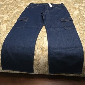 Ann Taylor Indigo Denim Pants